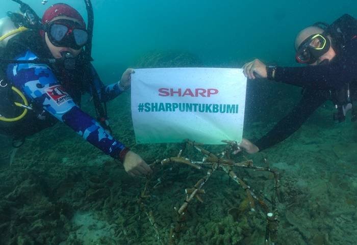 Foto 6 transplantasi karang pada program sharp untuk bumi di pulau tunda